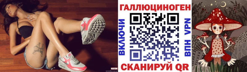 где купить   Питкяранта  Псилоцибиновые грибы мухоморы 
